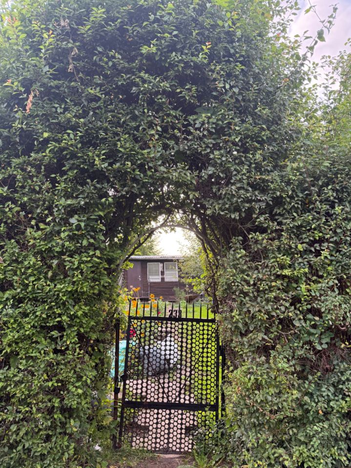 Działka rod Giżycko. Zdjęcie 2