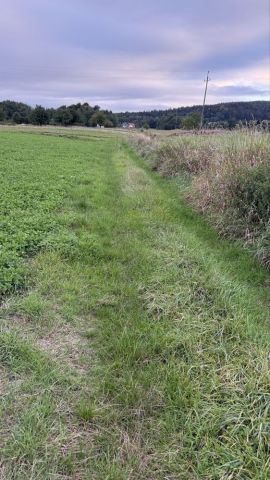 Działka rolna Barwałd Dolny. Zdjęcie 1