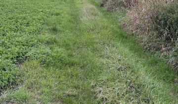 Działka rolna Barwałd Dolny