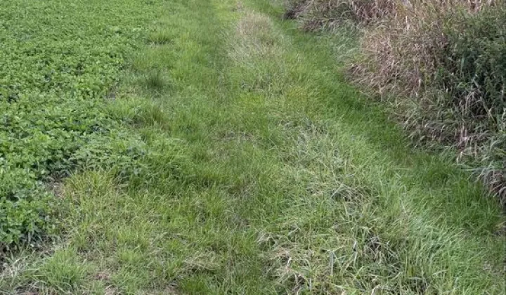 Działka rolna Barwałd Dolny