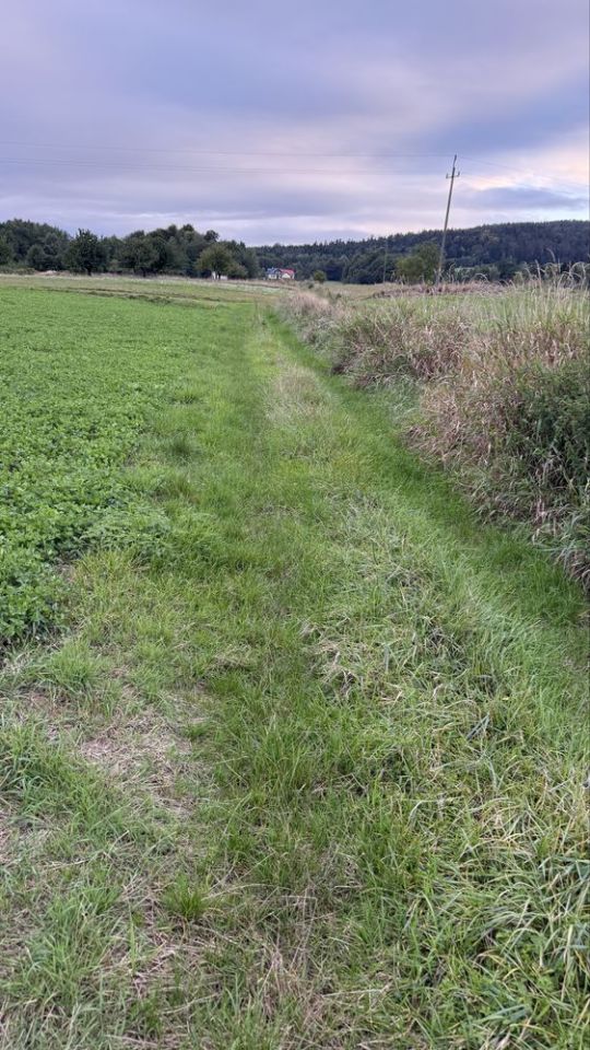 Działka rolna Barwałd Dolny