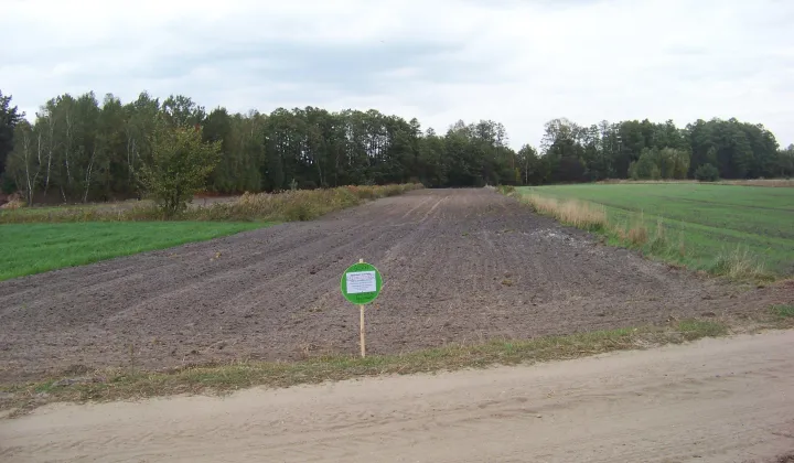 Działka rolno-budowlana Łączka