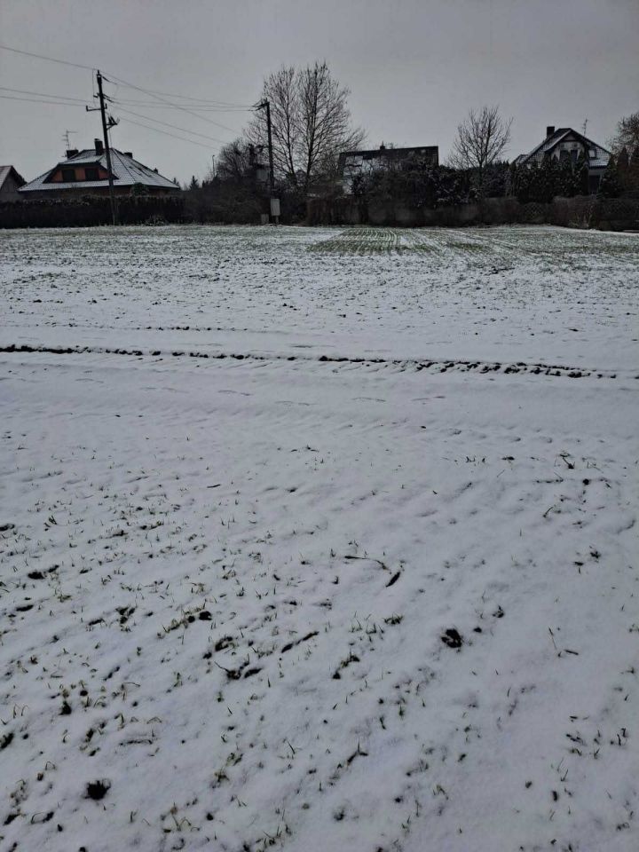 Działka budowlana Daszewice. Zdjęcie 1