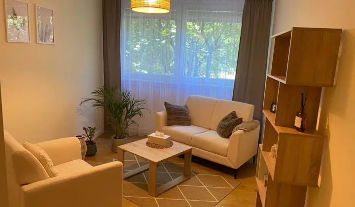 Lokal Wrocław Stare Miasto