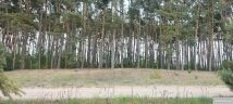 Działka budowlana Chomiąża Szlachecka. Zdjęcie 4