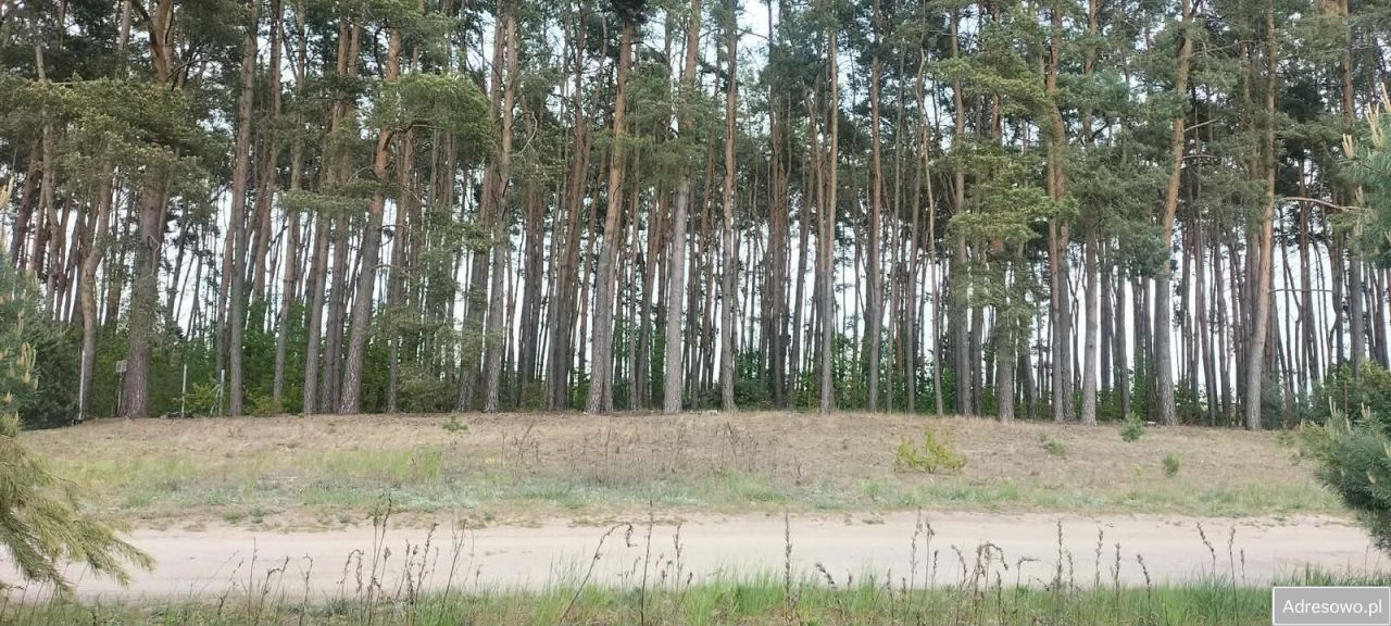 Działka budowlana Chomiąża Szlachecka. Zdjęcie 5