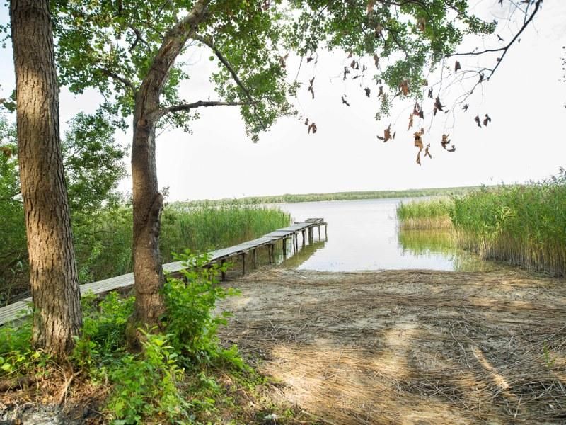 Działka inwestycyjna Dąbrowa. Zdjęcie 8