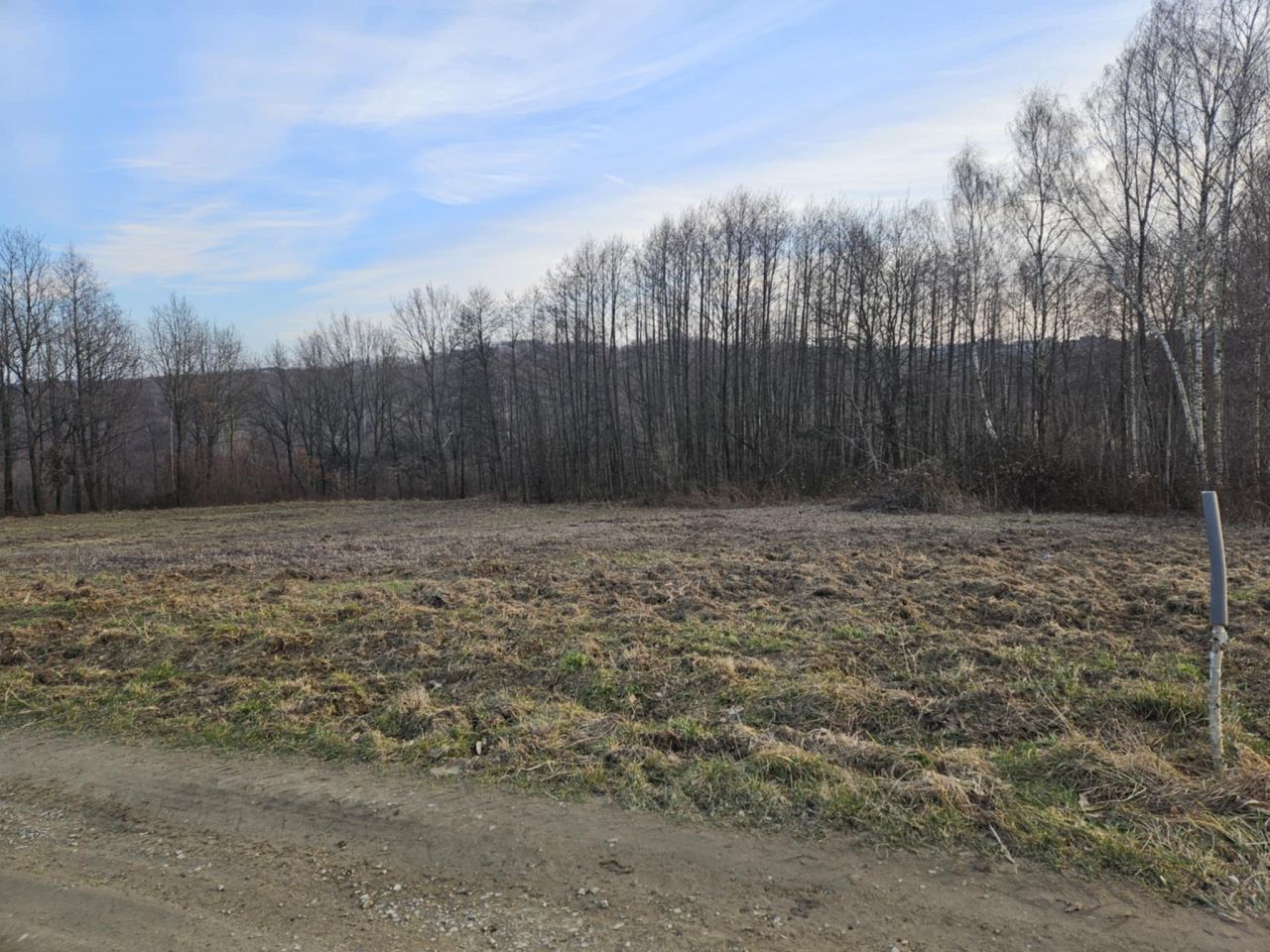 Działka rolno-budowlana Kraczkowa Działy Zachodnie. Zdjęcie 10