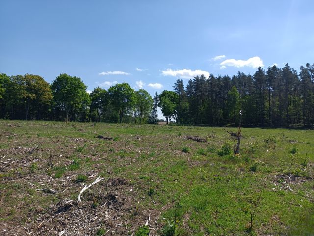 Działka budowlana Darżkowo. Zdjęcie 5