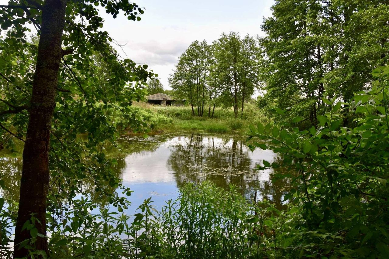 Działka rolna Kraśniany. Zdjęcie 2