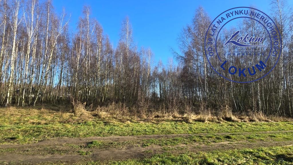 Działka inwestycyjna Lipno, ul. Borówkowa. Zdjęcie 4