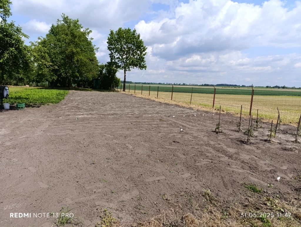 Działka rolno-budowlana Murzynko. Zdjęcie 2