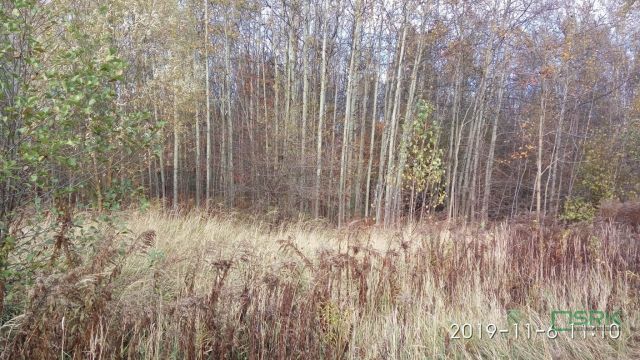 Działka inna Mysłowice, ul. Andrzeja Zielnioka. Zdjęcie 3