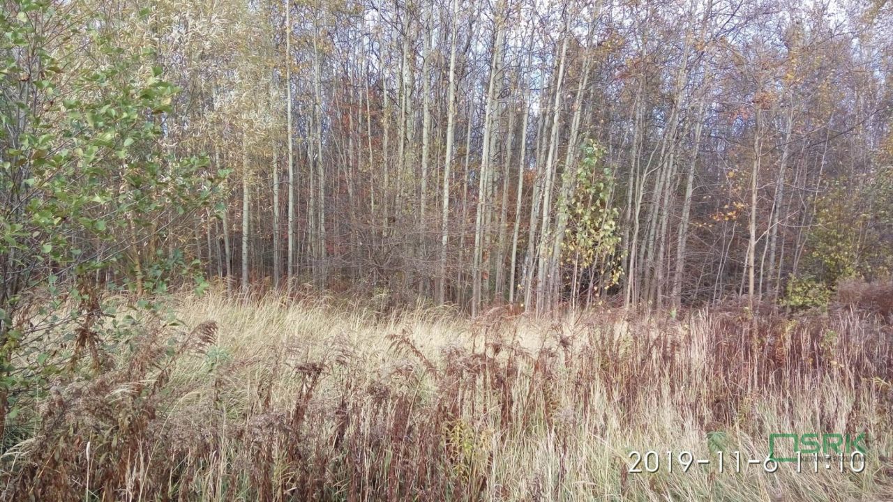 Działka inna Mysłowice, ul. Andrzeja Zielnioka. Zdjęcie 3