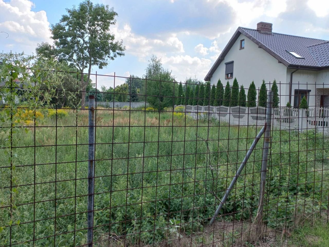 Działka budowlana Koło Kaliskie Przedmieście, ul. Jarosława Dąbrowskiego. Zdjęcie 3