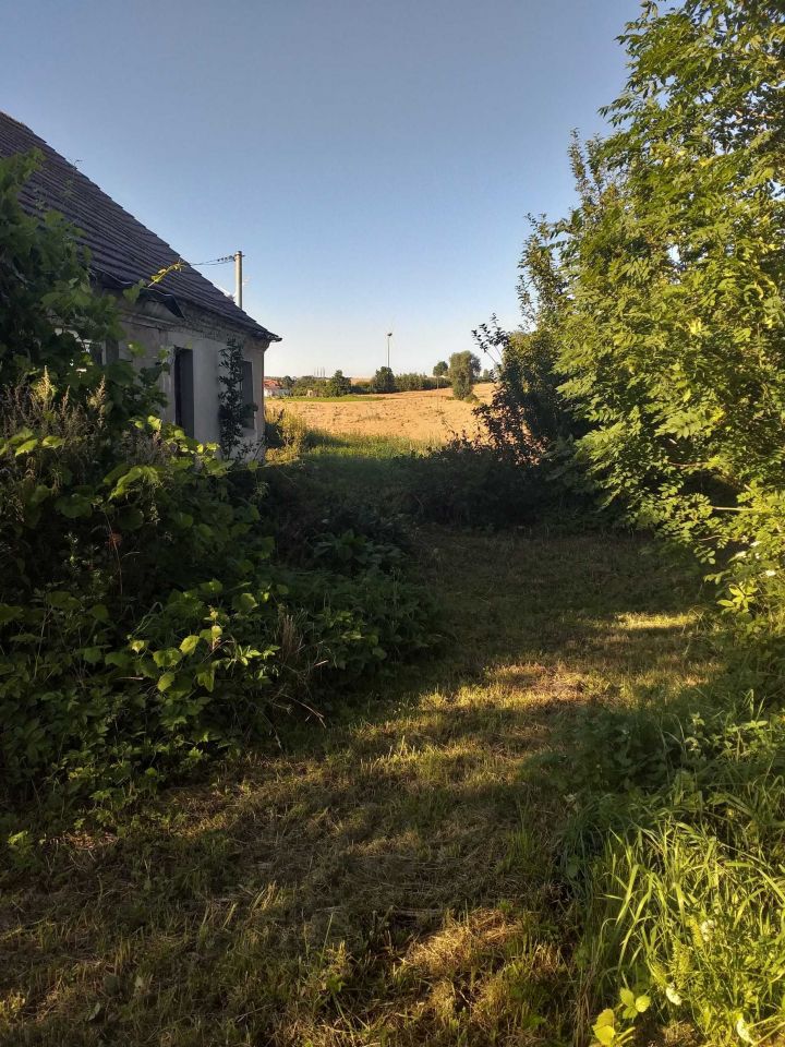 siedlisko Łęgowo. Zdjęcie 2