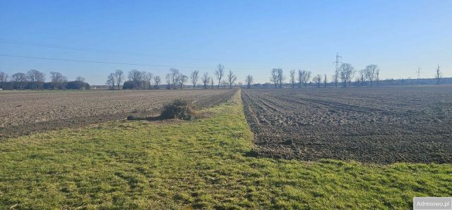Działka budowlana Nieborów. Zdjęcie 1