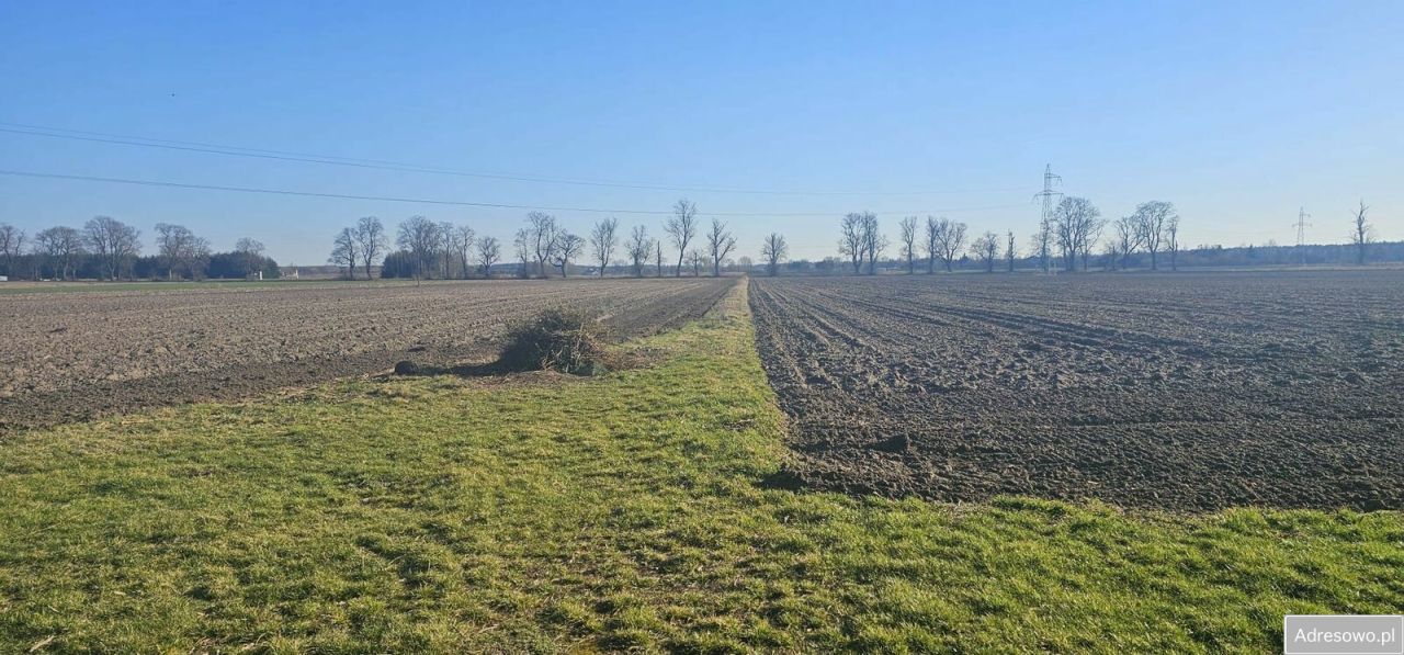 Działka budowlana Nieborów