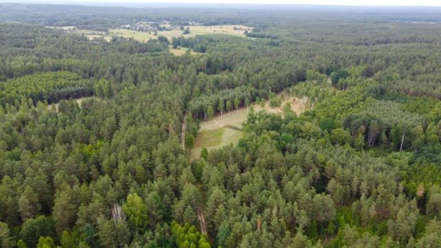 Działka rolna Dzierniakowo. Zdjęcie 7