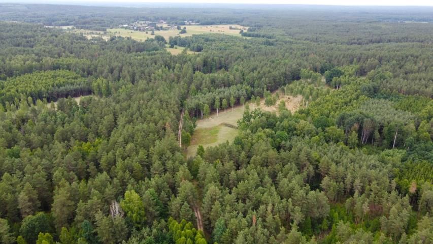 Działka rolna Dzierniakowo. Zdjęcie 7