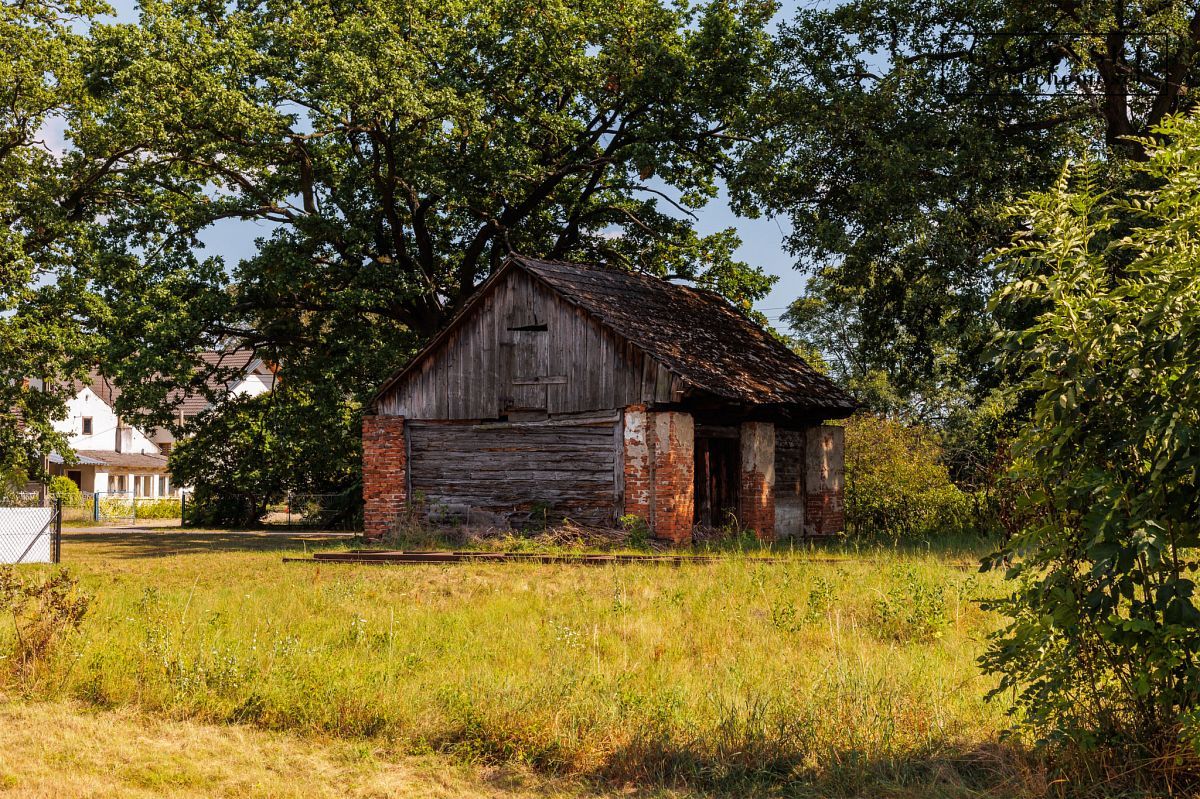 Działka budowlana Dąbrówki Breńskie. Zdjęcie 11