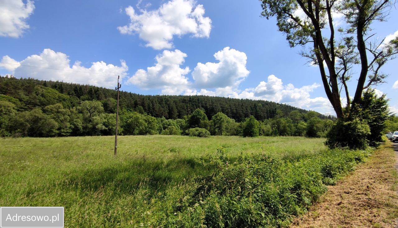 Działka rolna Trzcianiec. Zdjęcie 7
