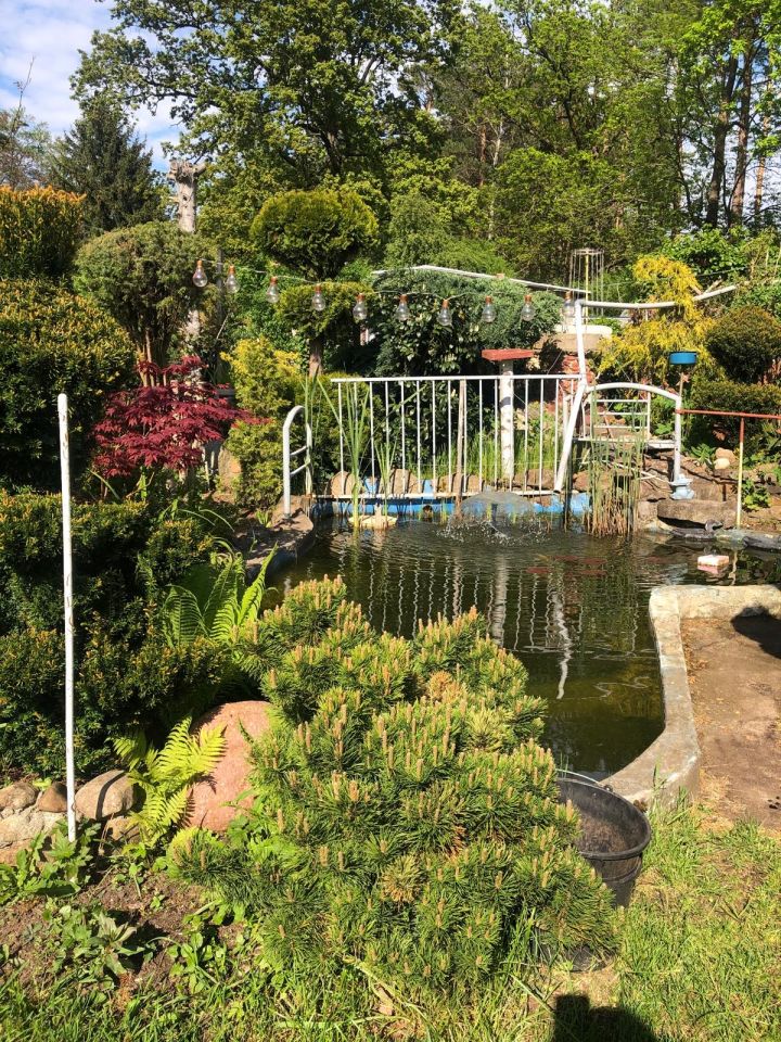 Działka rod Zielona Góra Jędrzychów, ROD Falubaz. Zdjęcie 8