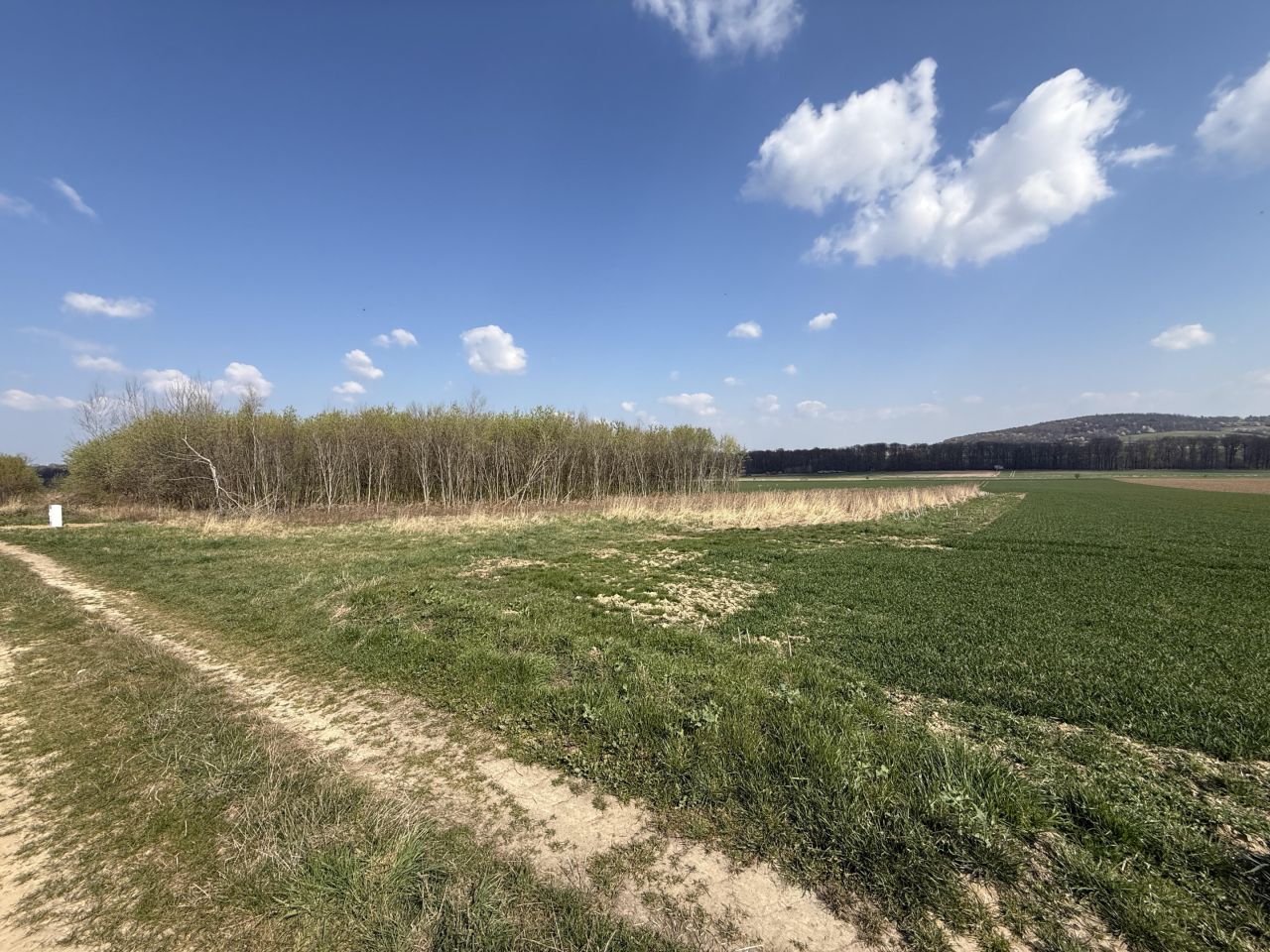 Działka budowlana Kruków, ul. Tarnawska. Zdjęcie 12