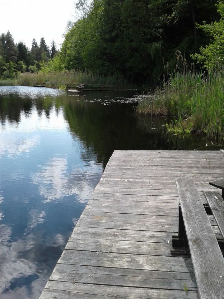 dom letniskowy Kopanica. Zdjęcie 7