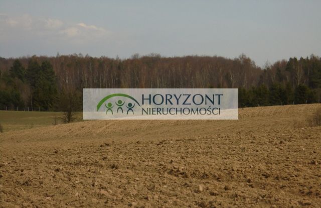 Działka Grabowska Huta. Zdjęcie 1