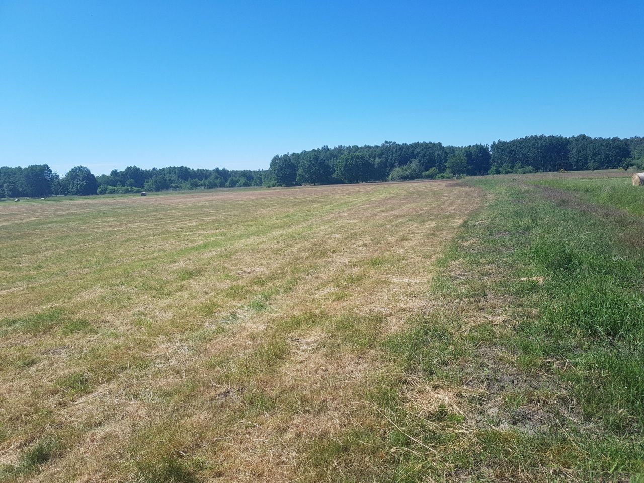 Działka budowlana Sarbsk, ul. Morska. Zdjęcie 12