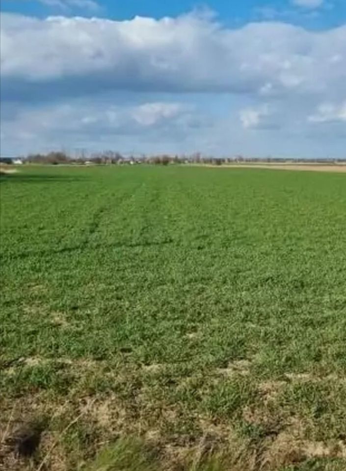 Działka rolno-budowlana Kuchary