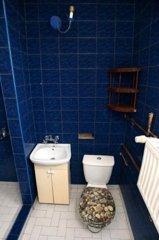 dom wolnostojący, 6 pokoi Tarnowskie Góry Strzybnica, ul. Wojciecha Kossaka. Zdjęcie 14