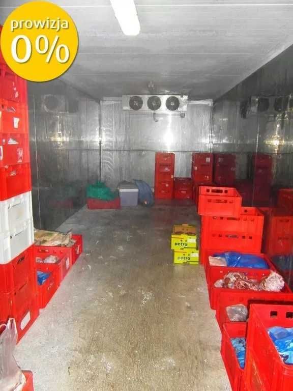 Hala/magazyn Mały Płock. Zdjęcie 6