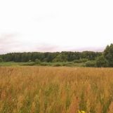 Działka budowlana Sypitki. Zdjęcie 4