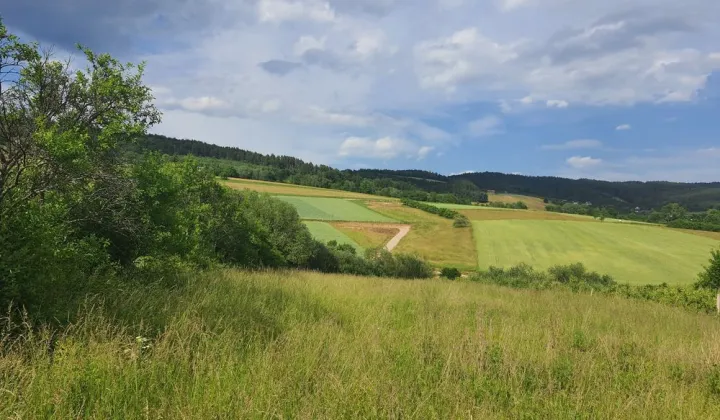 Działka rolno-budowlana Łącko