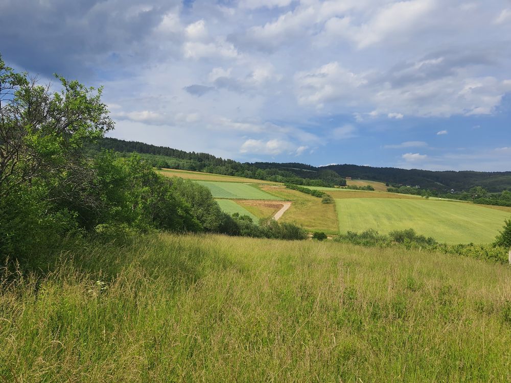 Działka rolno-budowlana Łącko