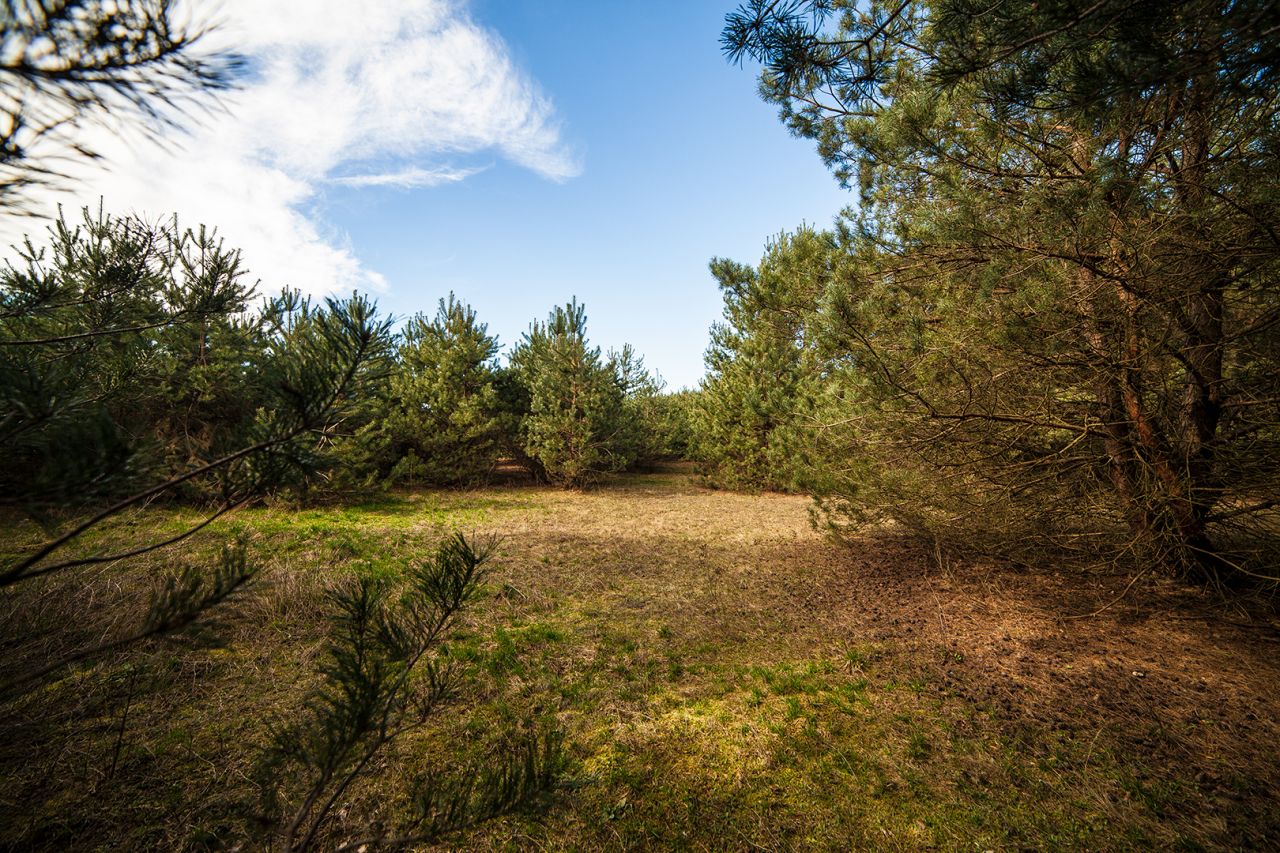 Działka budowlana Celiny. Zdjęcie 11