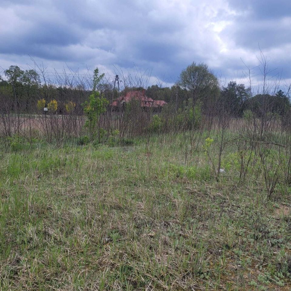 Działka budowlana Witanówek. Zdjęcie 5