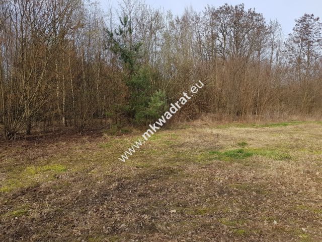 Działka rolna Borszyce. Zdjęcie 4