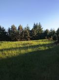 Działka budowlana Bogdaszowice. Zdjęcie 3