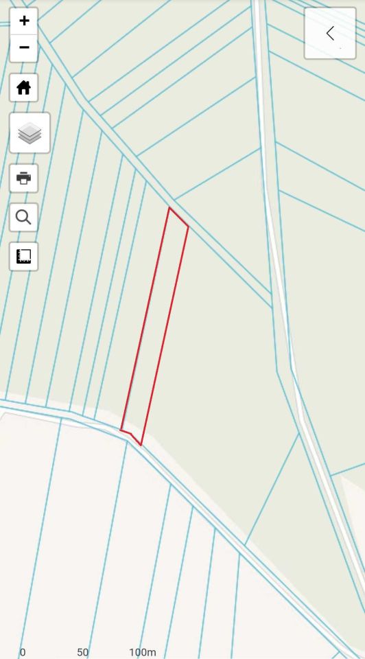 Działka leśna Dębówka. Zdjęcie 5