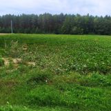 Działka budowlana Padew Narodowa, ul. Polna. Zdjęcie 3