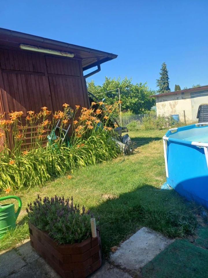 Działka rod Wolsztyn. Zdjęcie 4