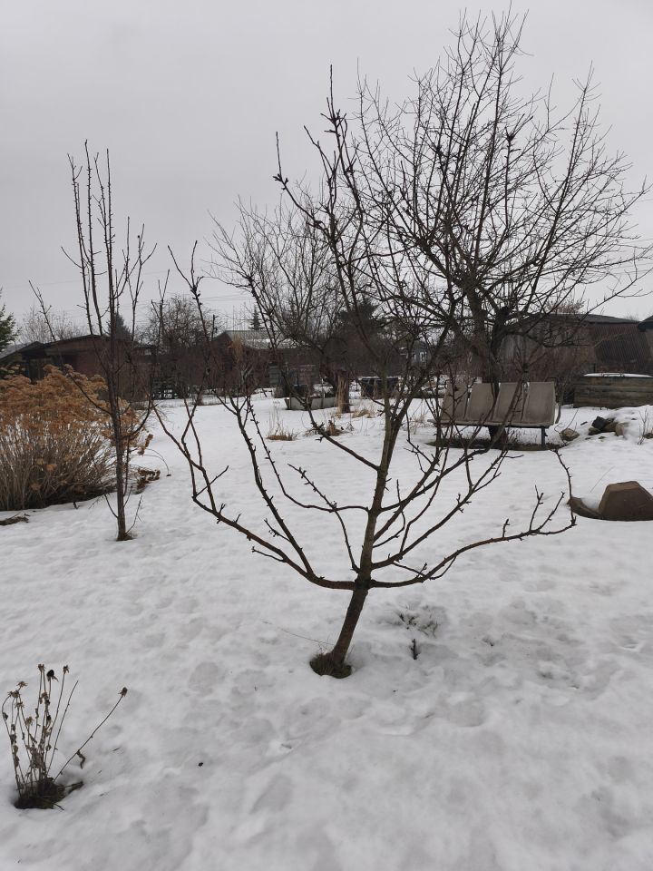 Działka rekreacyjna Chełm Wygon, ul. Bursztynowa. Zdjęcie 10