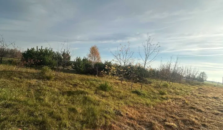 Działka budowlana Zakliczewo