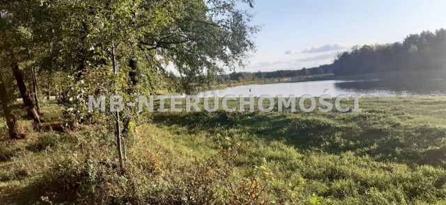 Działka rolna Nowosiedliny. Zdjęcie 4