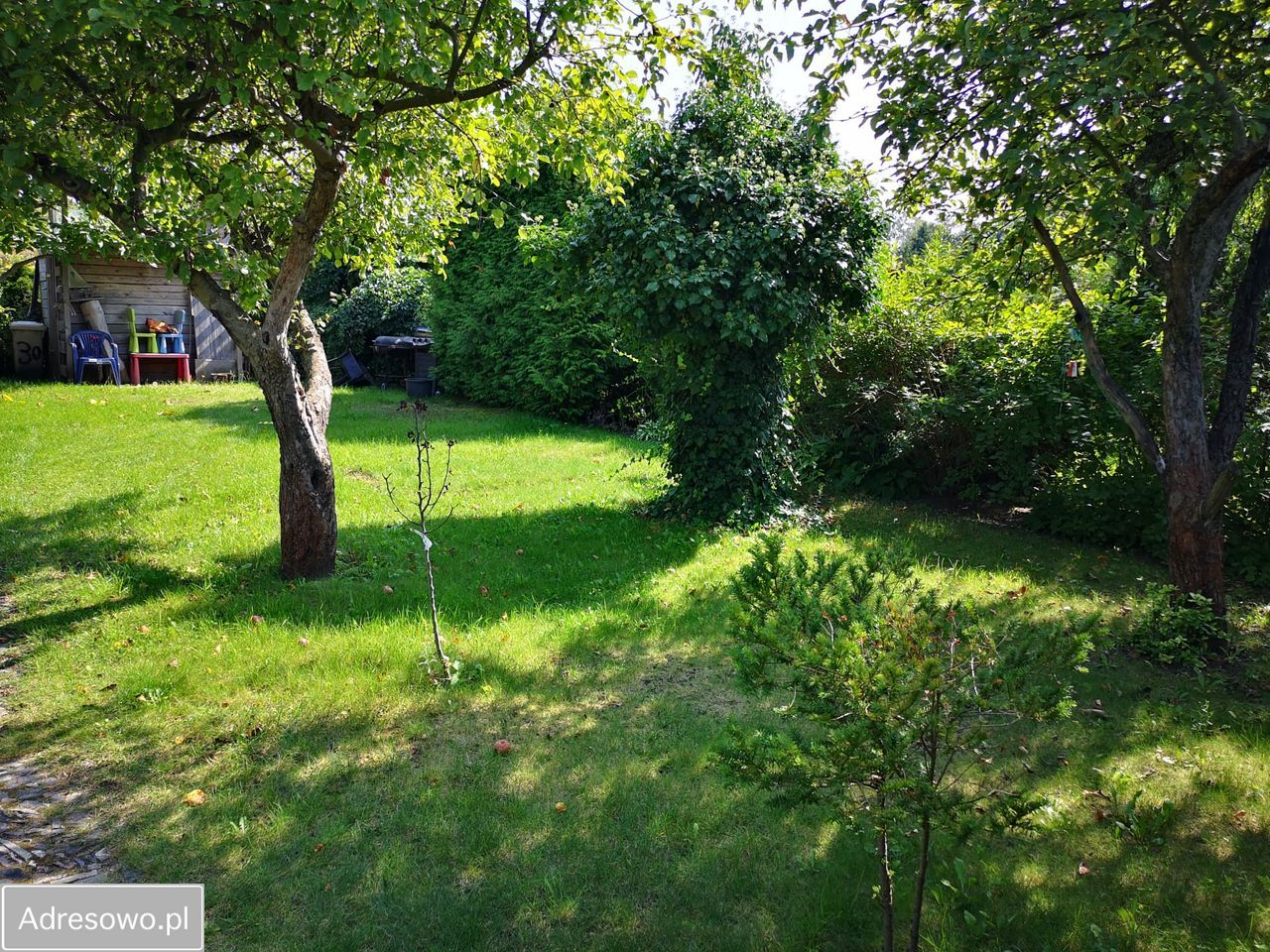 Działka rod Poznań Grunwald, ul. Bukowska. Zdjęcie 13