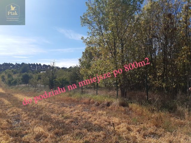 Działka budowlana Kruszyn. Zdjęcie 5