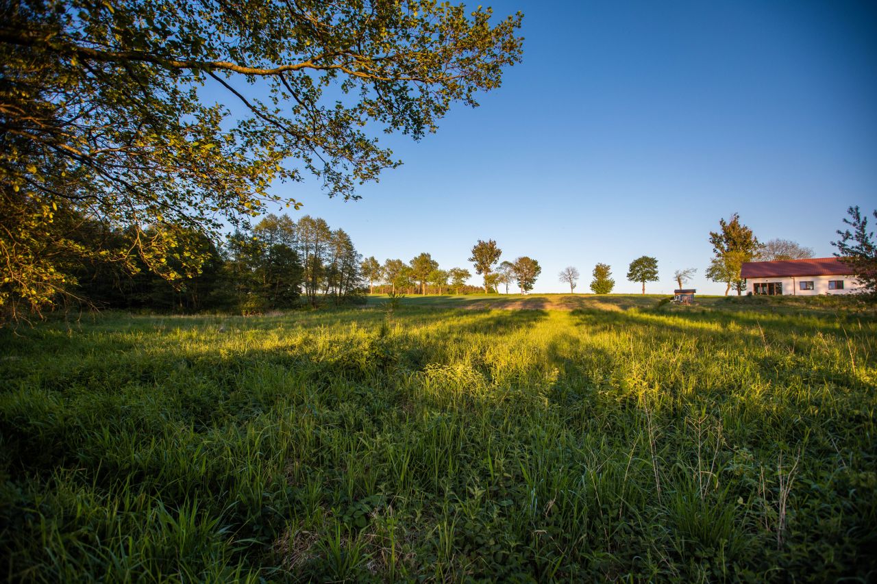 Działka rolna Karwin. Zdjęcie 2